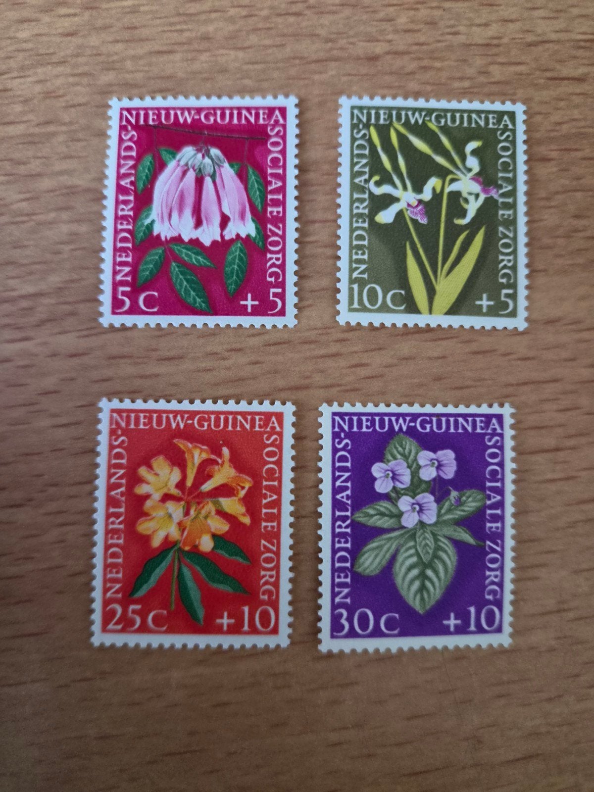 Nieuw Guinea, Ophalen of Verzenden