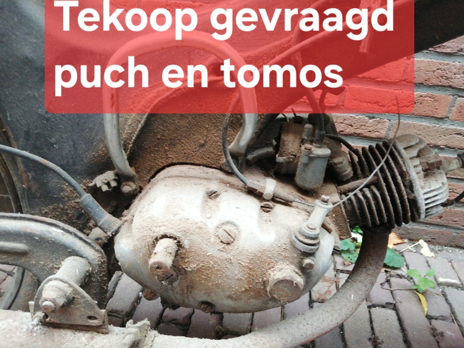 tekoop gevraagd puch VS50 MV50 tomos 2l 3l 4L brommers, Ophalen, Overige typen, Overige merken