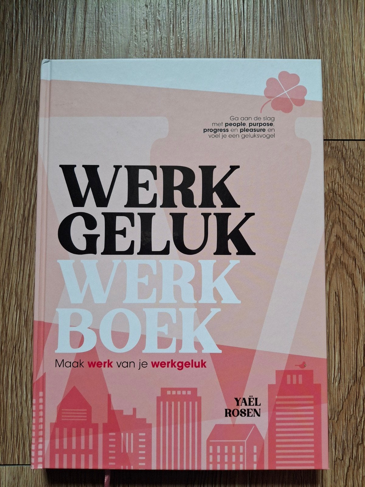 Yaël Rosen -  werkgeluk werkboek, Yaël Rosen, Ophalen of Verzenden, Ontwikkelingspsychologie, Zo goed als nieuw