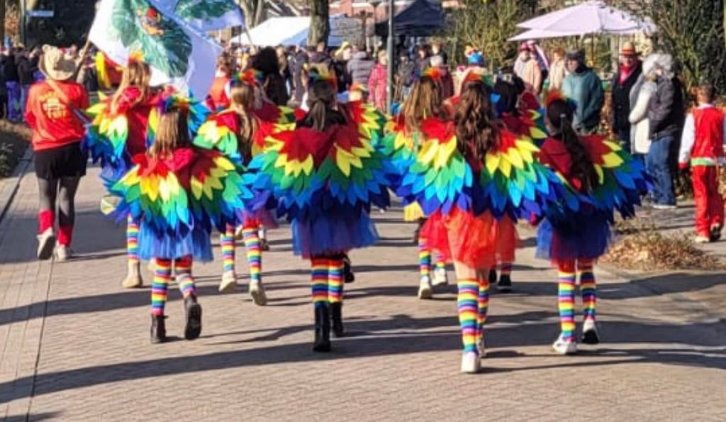 12 apenpakken en 12 papegaaienpakken, 10 tot 12 jaar,, Ophalen, Carnaval, Zo goed als nieuw, Kleding