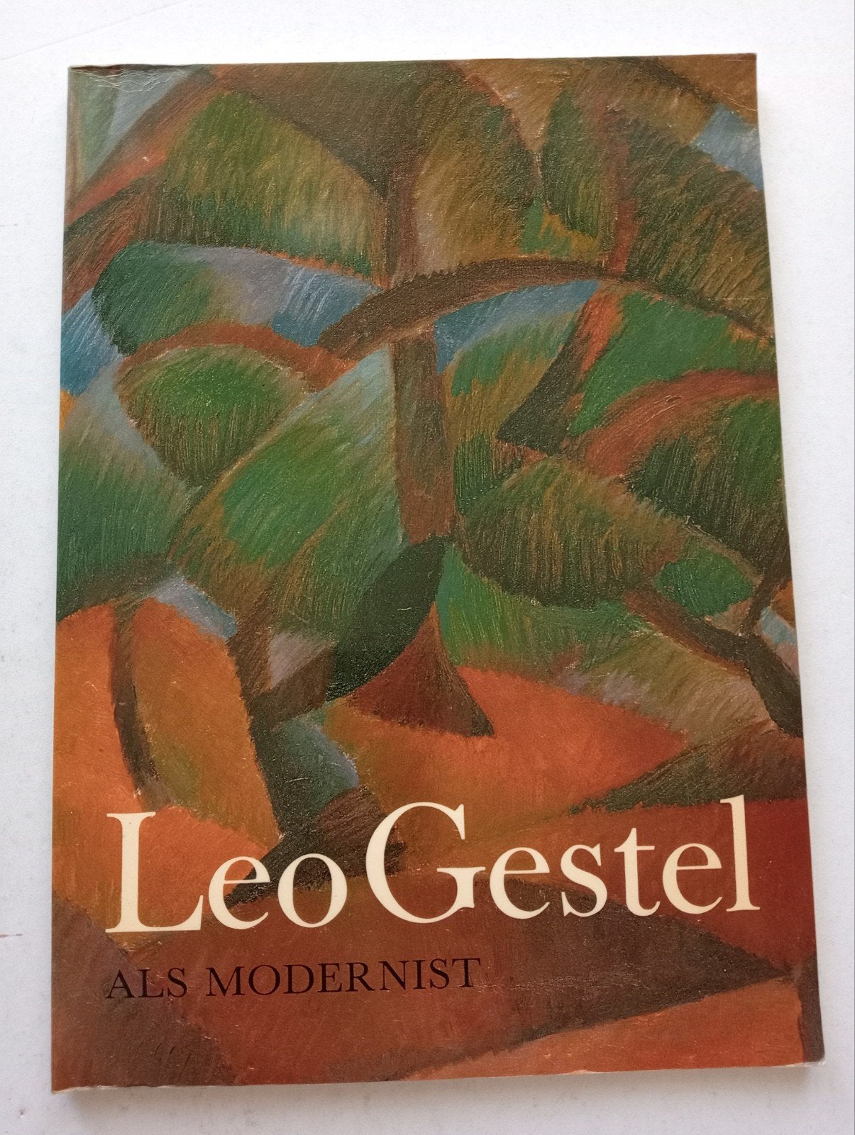 Leo Gestel Bergense School, Ophalen of Verzenden, Gelezen