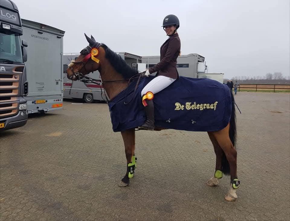 Zz verzorg/lease pony / halve stal, Ophalen, Nieuw