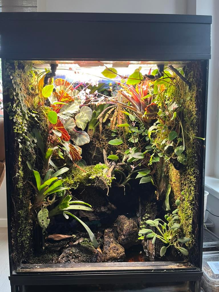 Mooi paludarium, Ophalen of Verzenden, Zo goed als nieuw