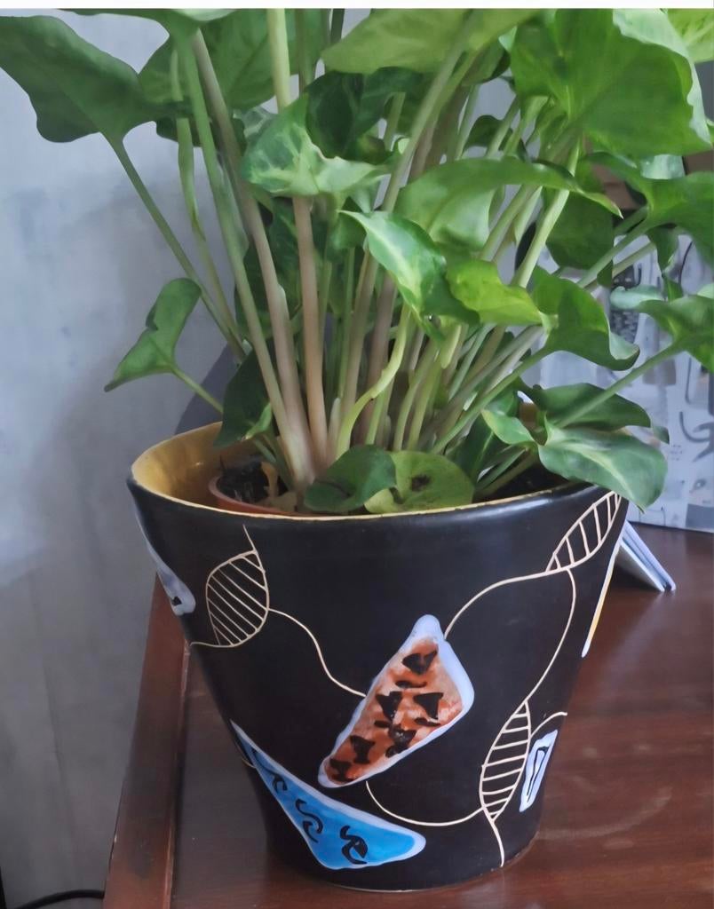 GEZOCHT: bloempotten van Jopeko, Ophalen of Verzenden, Zo goed als nieuw, Aardewerk, Binnen