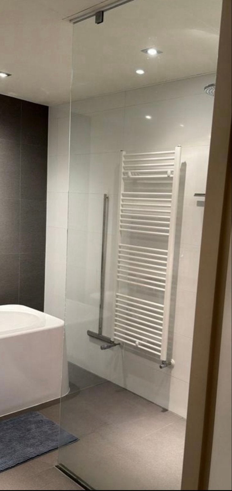 Glazen douchewand 235x110x0.8mm incl. bevestigingsmateriaal, Ophalen, Gebruikt, Glas, Douche