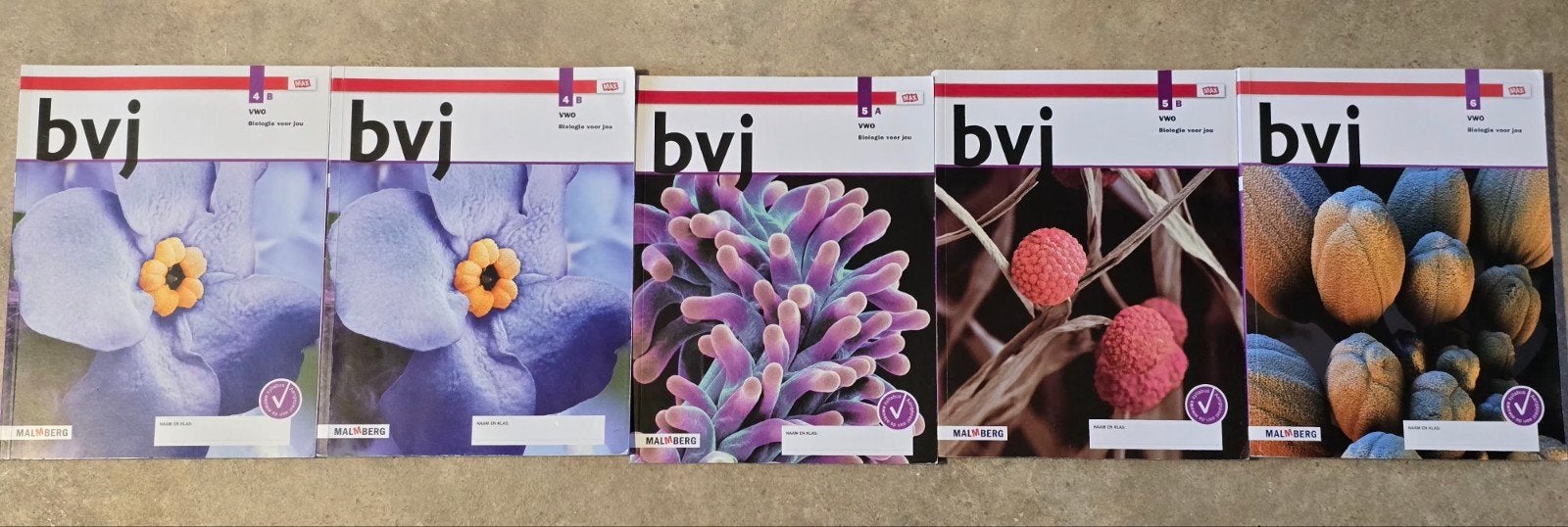bvj Biologie 4,5 en 6 VWO, Boeken, VWO, Biologie, Ophalen of Verzenden, Zo goed als nieuw