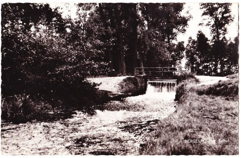 Bergeijk Het Schut Oude gelopen Ansichtkaart( B1718 ), Verzamelen, Ansichtkaarten | Nederland, Ophalen of Verzenden, 1960 tot 1980