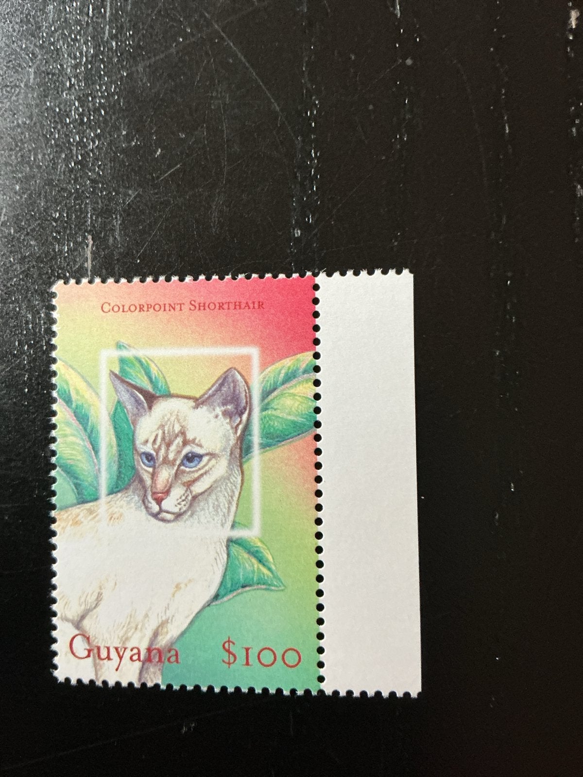 Postzegels Guyana: Colorpoint Shorthair & Persian Tabby, Verzenden, Postfris