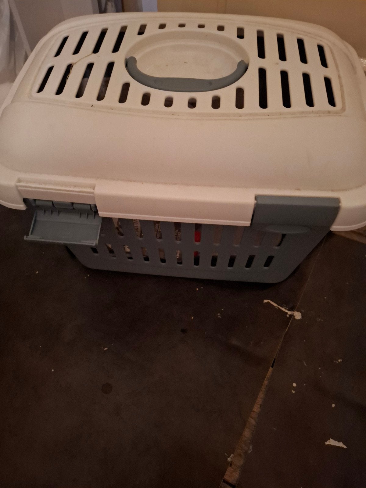 knaagdieren of katten, Ophalen