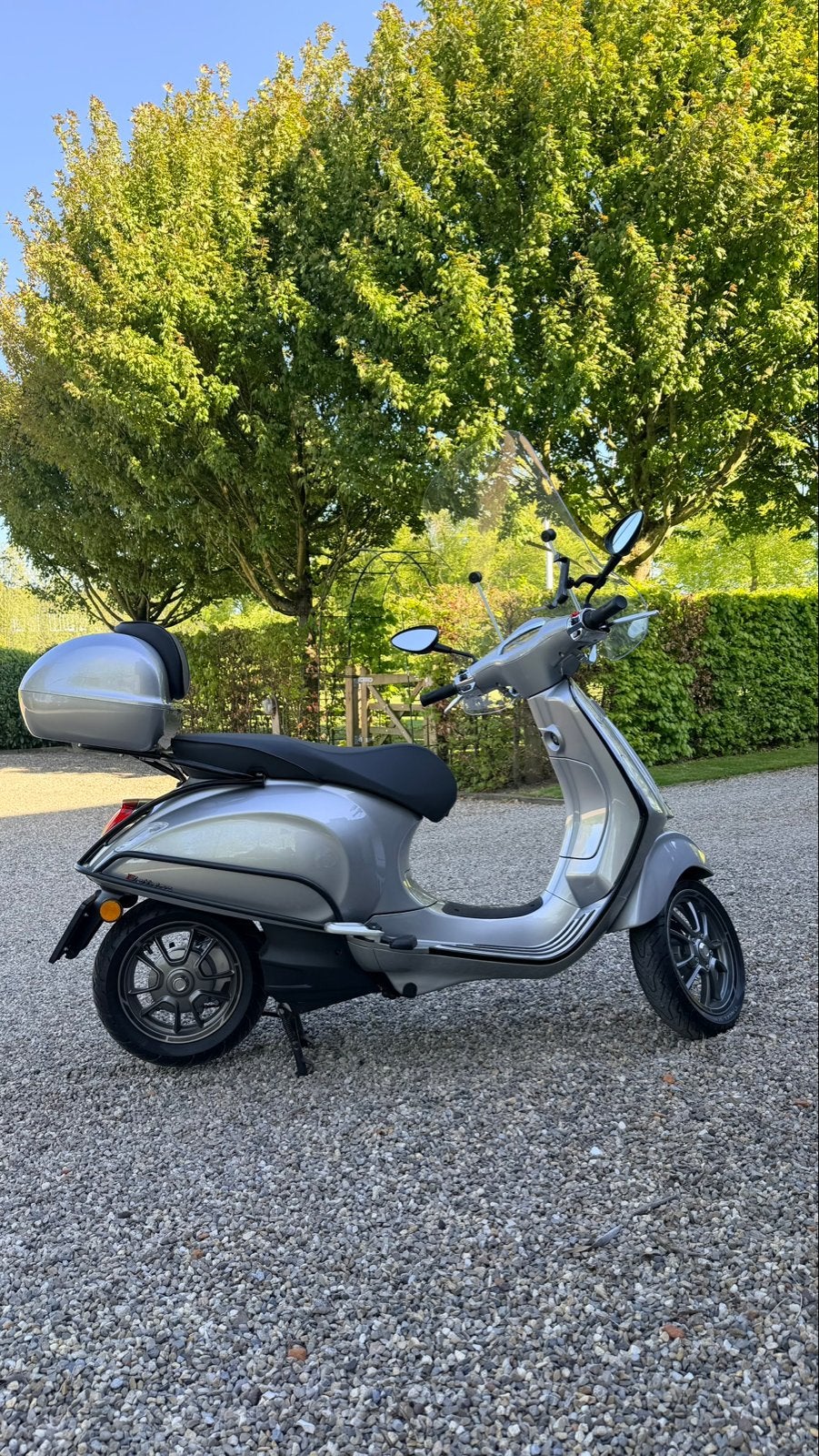 Vespa Elettrica - Elektrische Motorscooter, Motoren, Particulier, Scooter