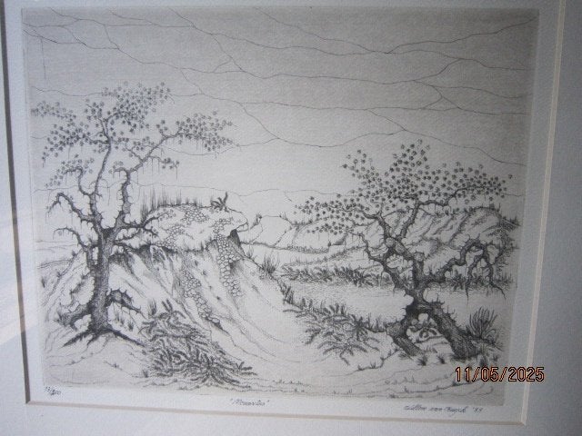Willem van Kuyck, mooie ets van een Natuurgebied, Antiek en Kunst, Ophalen