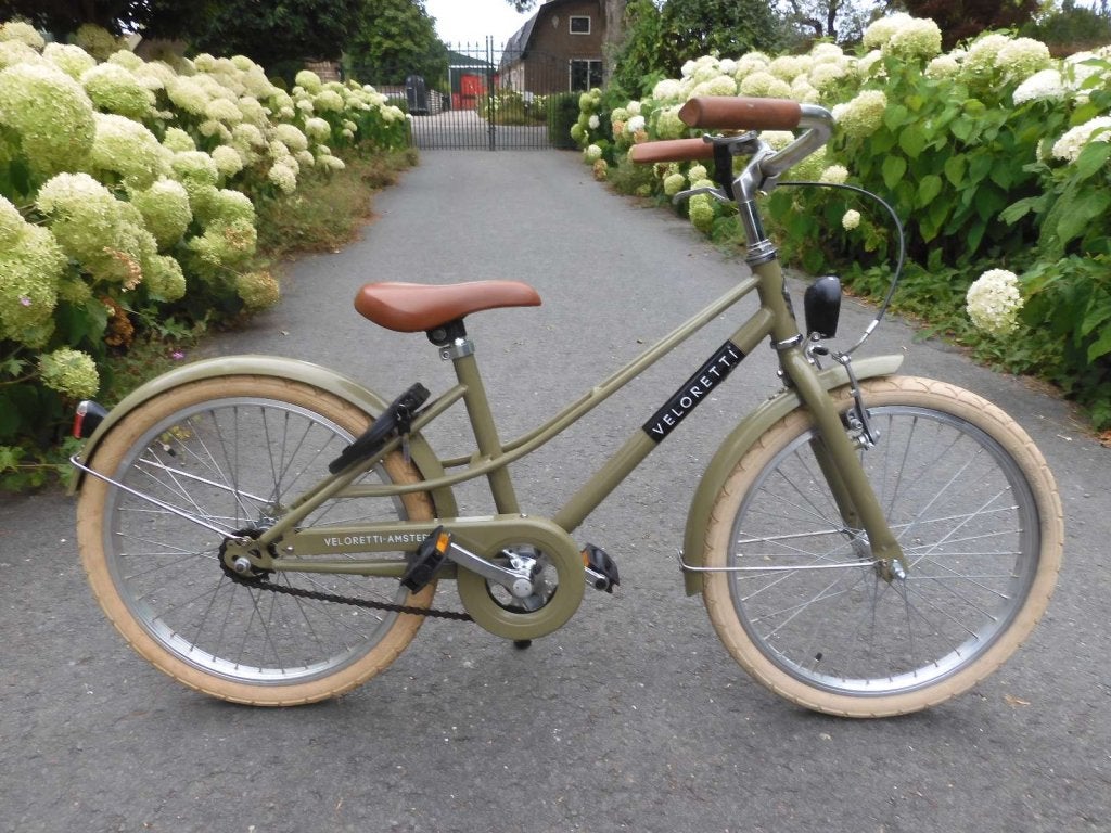Hele Mooie Moss Green 20 inch Veloretti meidenfiets, Terugtraprem, Zo goed als nieuw, 20 inch, Ophalen