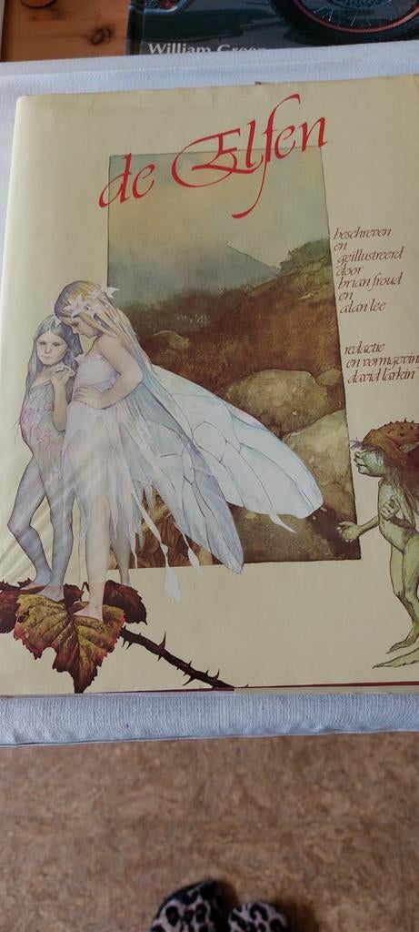 De Elfen - Prachtig groot boek met tekeningen, Boeken, Ophalen of Verzenden, Zo goed als nieuw, Brian Froud en Alan Lee