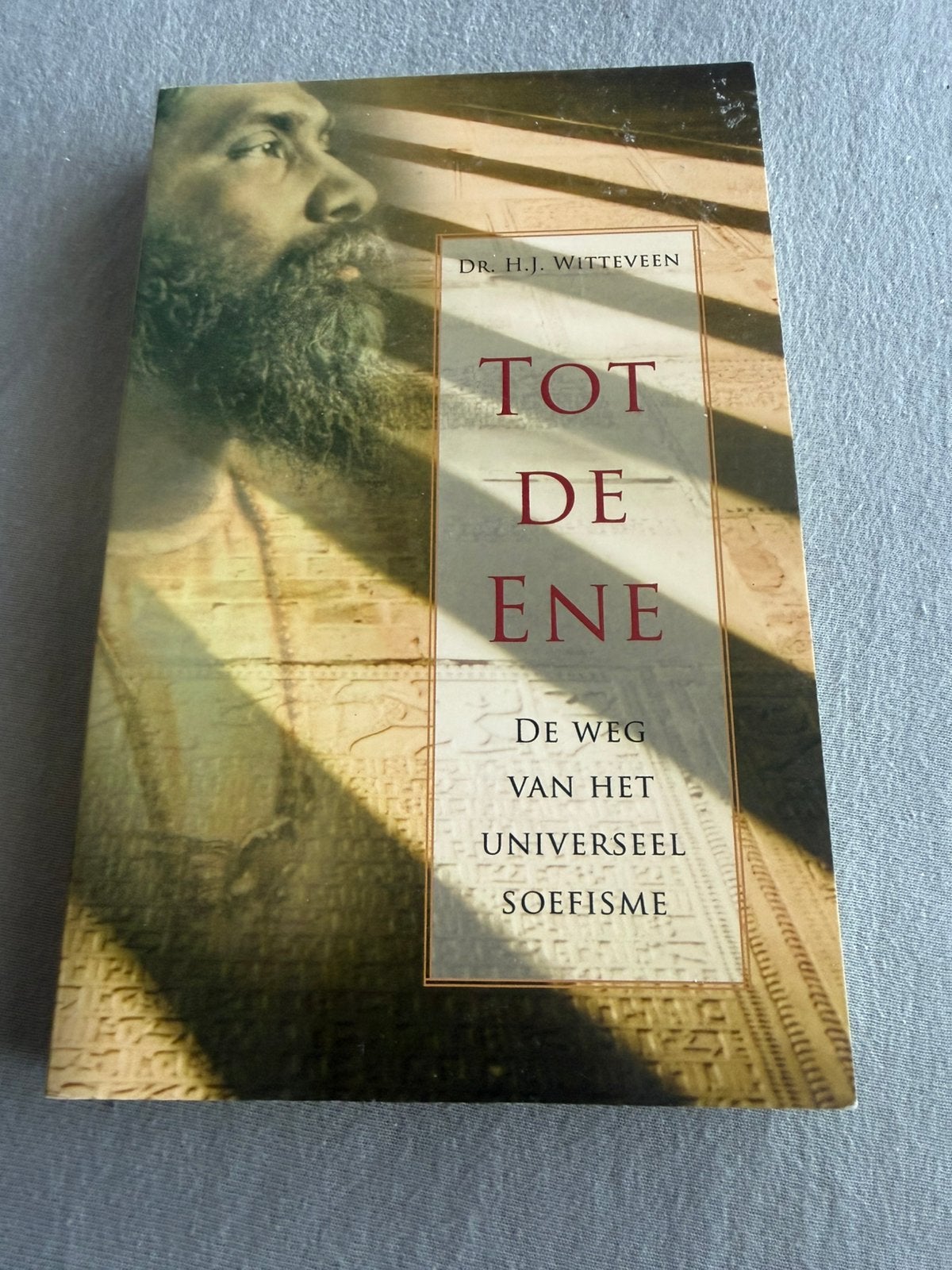 Tot De Ene De Weg Van Het Universeel Soefisme- H.J Witteveen, Boeken, Ophalen of Verzenden, Zo goed als nieuw, Spiritualiteit algemeen