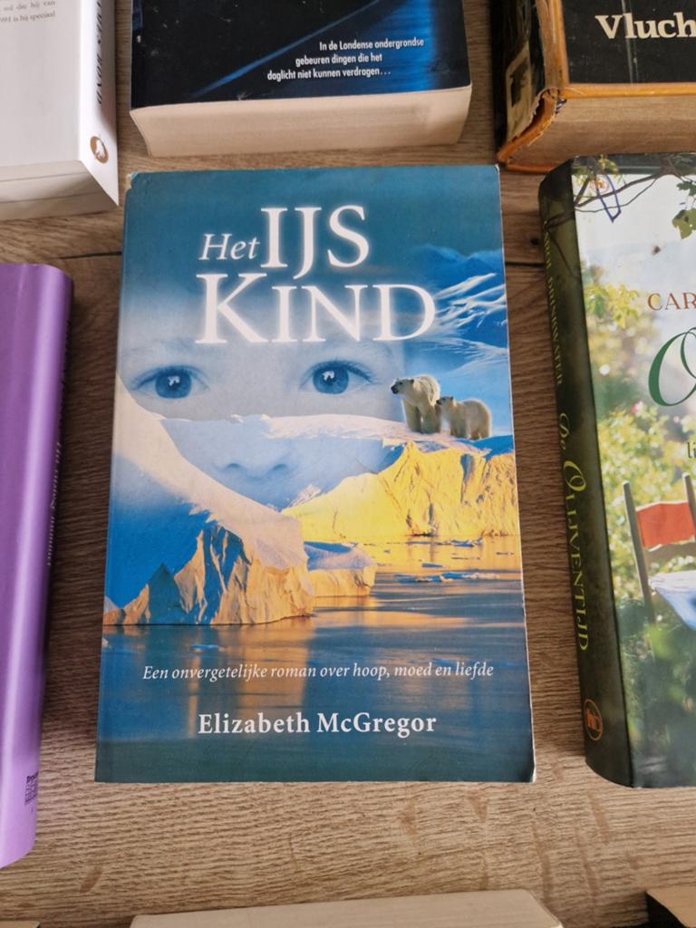 Boek: Het ijskind, Elizabeth McGregor, Ophalen of Verzenden