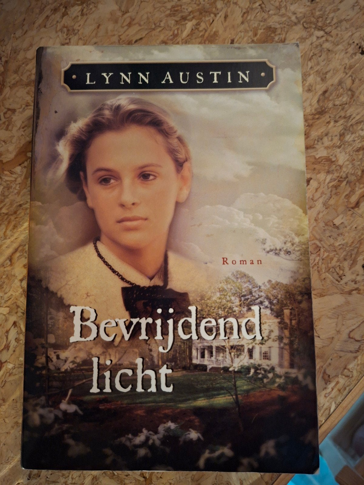 Lynn Austin - Bevrijdend licht, Ophalen of Verzenden, Zo goed als nieuw, Lynn Austin, Amerika