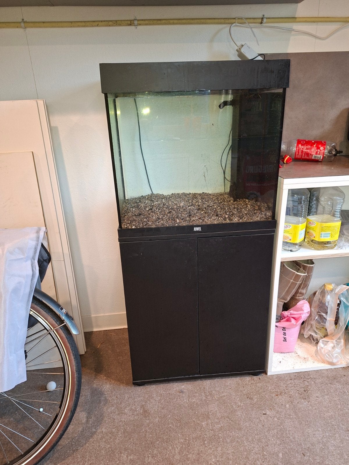 Zeer nette lido 200 te koop aangeboden, Dieren en Toebehoren, Ophalen