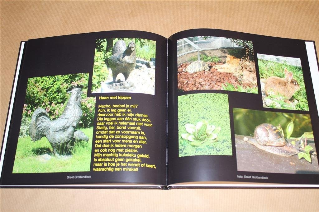 Beeld-Dichten. Greet Grottendieck. Gesigneerd !!, Ophalen of Verzenden, Gelezen