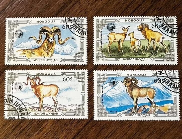 Mongolië 1987 Dieren schapen - Argali Schaap (Gestempeld), Ophalen of Verzenden, Gestempeld, Oost-Azië