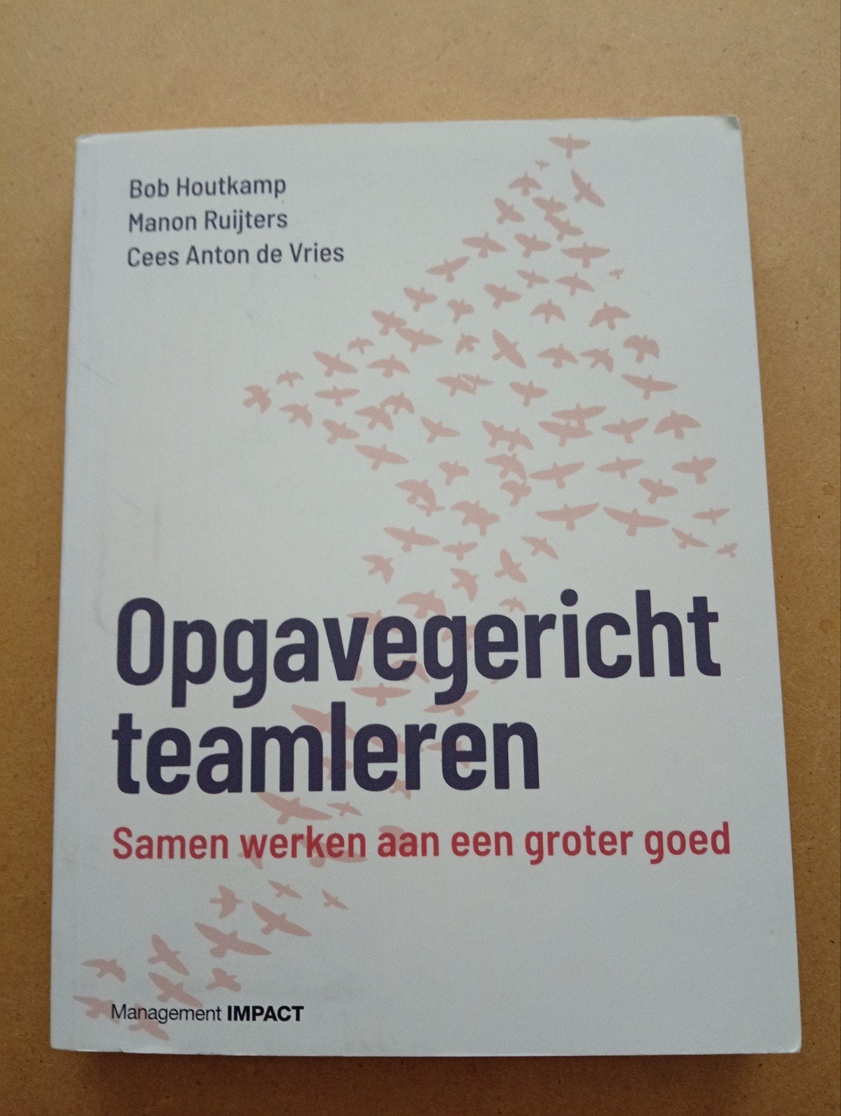 Opdrachtgericht teamleren: Samen werken aan een groter goed, Ophalen of Verzenden, Bob Houtkamp, Manon Ruijters, Cees Anton de Vries