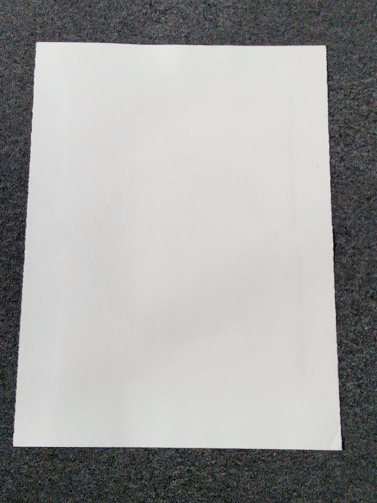grote 1995 zeefdruk CARGO beperkte oplage (100), Ophalen of Verzenden