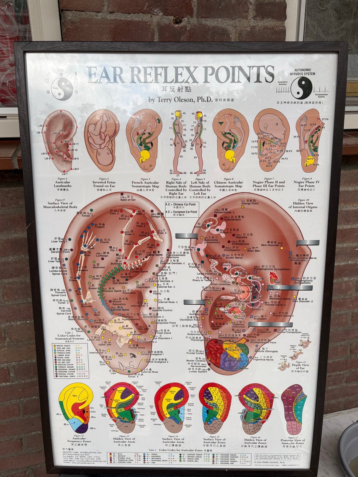 Oor Reflexpunten Poster - Terry Oleson, Ph.D., Ophalen, Zo goed als nieuw, Kruiden en Alternatief