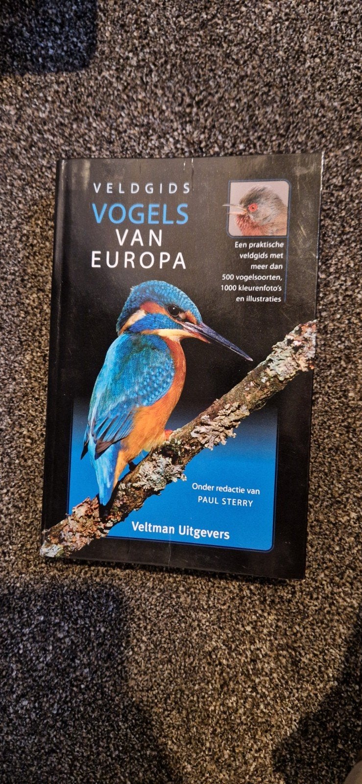 Paul Sterry - Veldgids vogels van Europa, Boeken, Paul Sterry, Ophalen of Verzenden, Zo goed als nieuw, Vogels