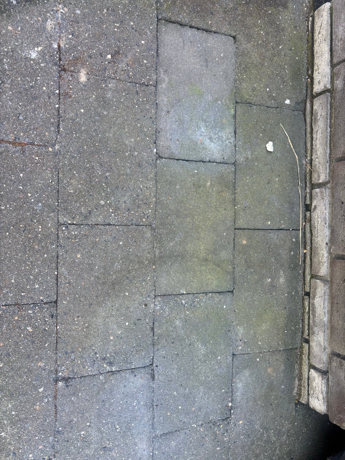 Gebruikte betontegels voor terras of pad, Tuin en Terras, Ophalen, Gebruikt, Minder dan 5 m², Beton