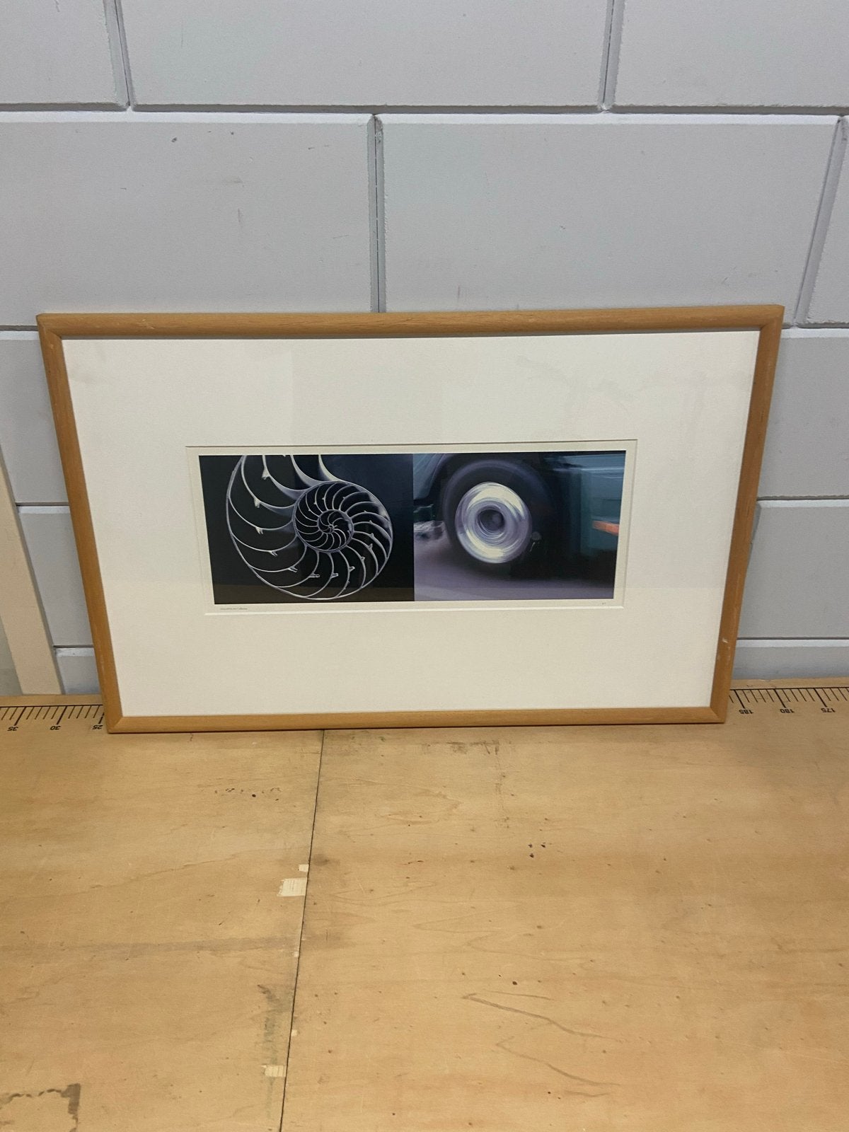 Ingelijste foto: Nautilus schelp en bewegend wiel, Antiek en Kunst, Ophalen, Foto, Fotografie, Achter glas