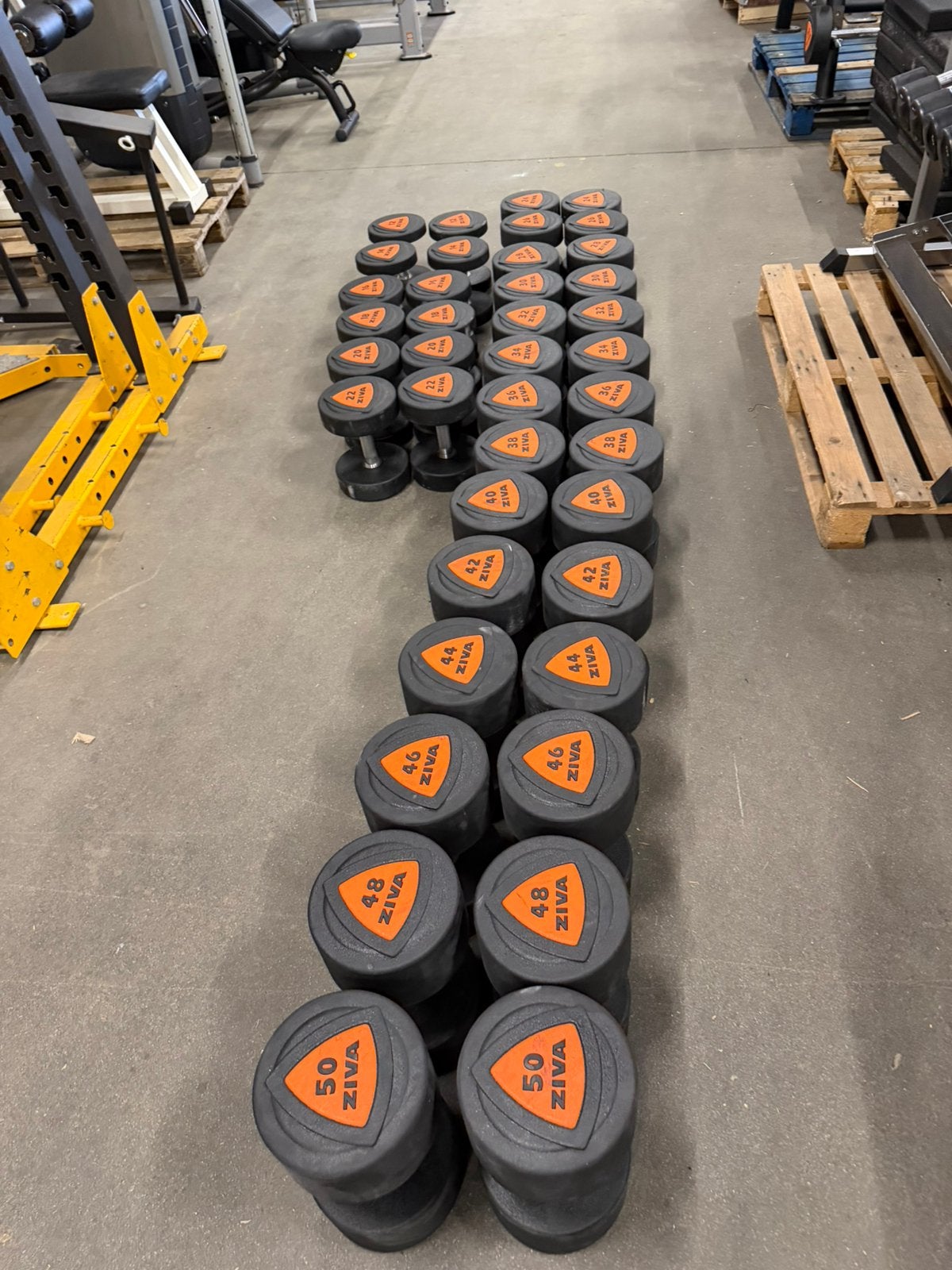 Rubberen Ziva Pu Dumbells 12kg t/m 50kg, Ophalen, Zo goed als nieuw, Dumbbell