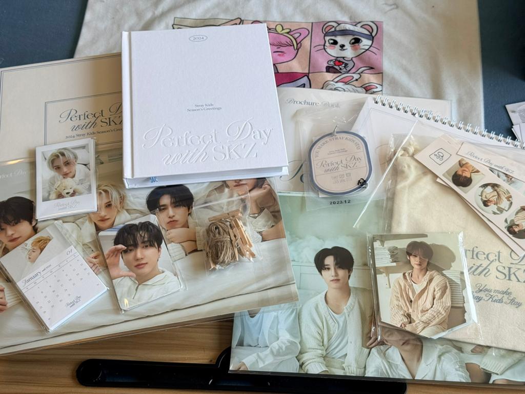 Stray Kids perfect day with skz season greetings, Ophalen of Verzenden, Zo goed als nieuw, Foto of Kaart