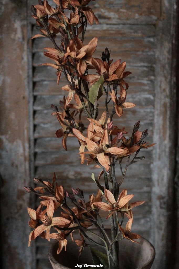 Magnolia stel. orange zijdebloemen, zijdetak, bloemen, Www.jufbrocante.nl, Www.jufbrocante.nl, Nieuw, Ophalen of Verzenden