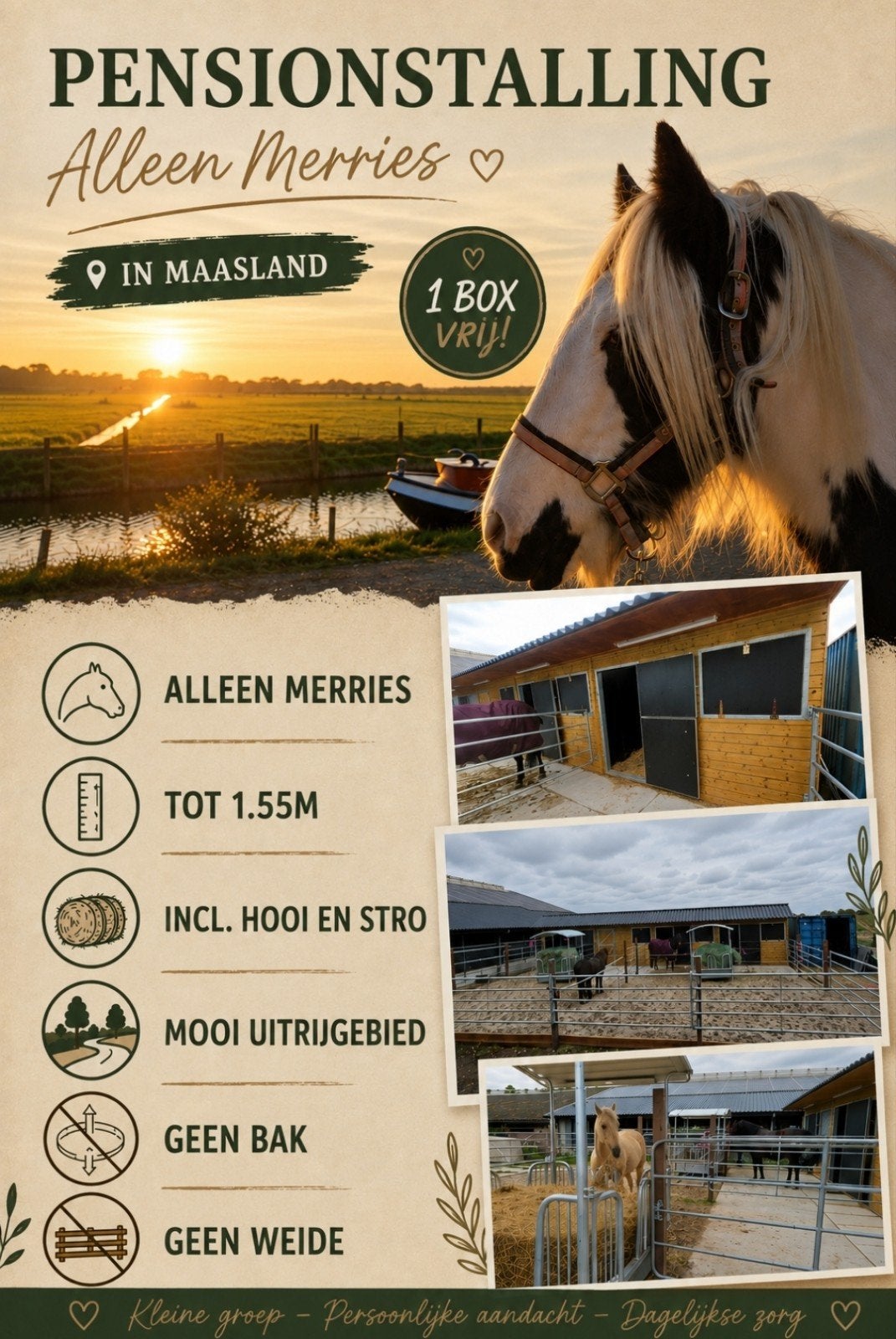 Gezellige, rustige stal voor ponys die niet meer op de wei m, Dieren en Toebehoren
