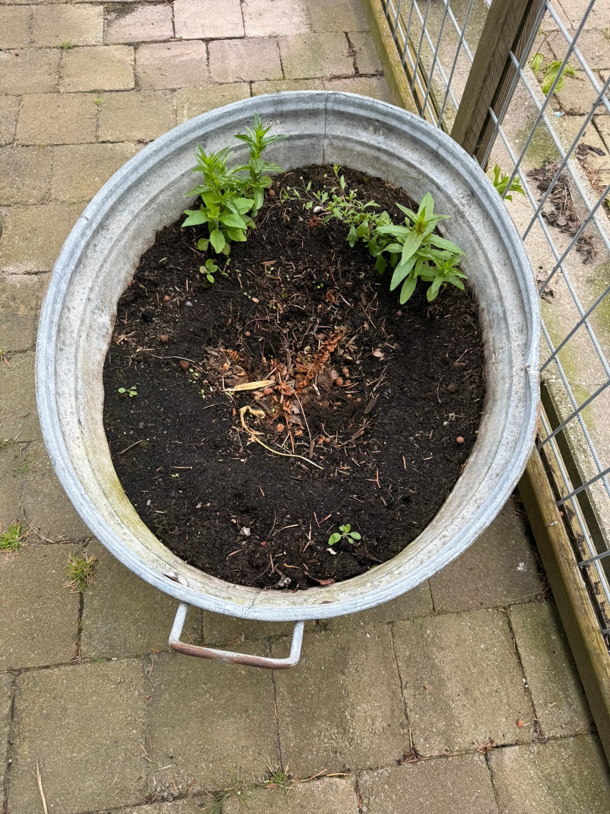 Grote zinken teil 80x65 cm met kleindeukje 35€, Ophalen, Metaal, 30 tot 60 cm, 60 tot 100 cm