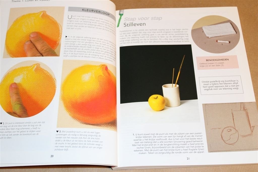 Pasteltekenen voor Beginners — Rijk Geïllustreerd, Ophalen of Verzenden, Zo goed als nieuw, Tekenen en Schilderen