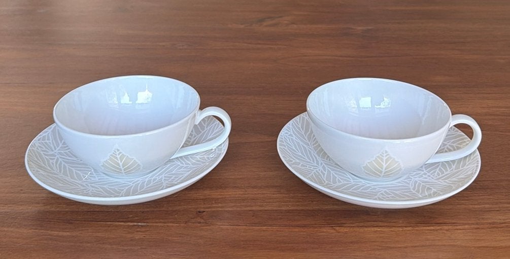 2 Villeroy & Boch City Park kop en schotels, Ophalen of Verzenden, Zo goed als nieuw, Overige stijlen, Kop(pen) en/of Schotel(s)