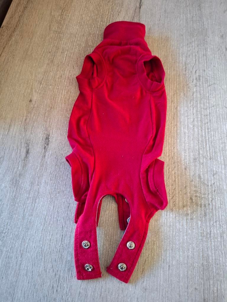 Pet shirt, Ophalen of Verzenden, Hondenshirt