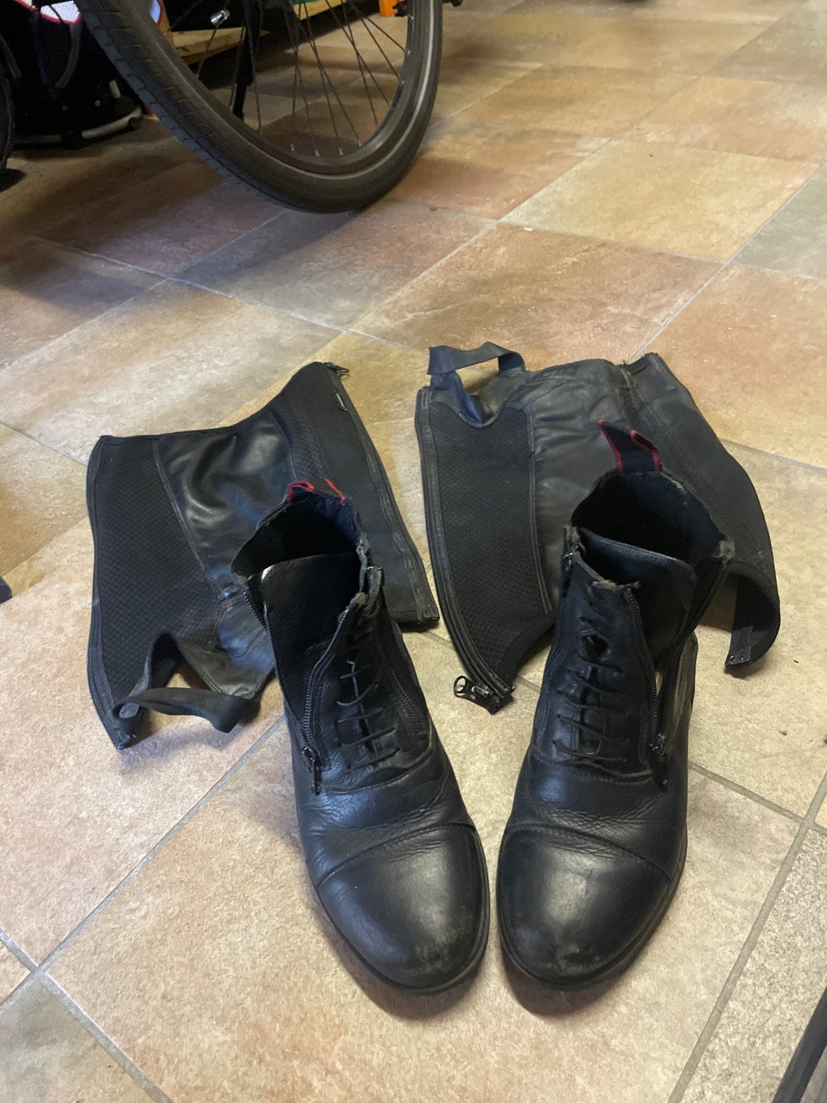 Leuke paardrij laarsje + chaps zwarte kleur maat 36, Ophalen of Verzenden, Gebruikt, Veelzijdigheid