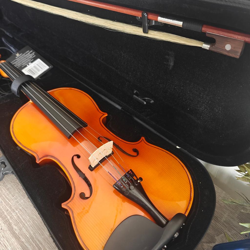 Stagg Digitale Viool 4/4  Nieuw!, Muziek en Instrumenten, Strijkinstrumenten | Violen en Altviolen, Ophalen of Verzenden, Zo goed als nieuw