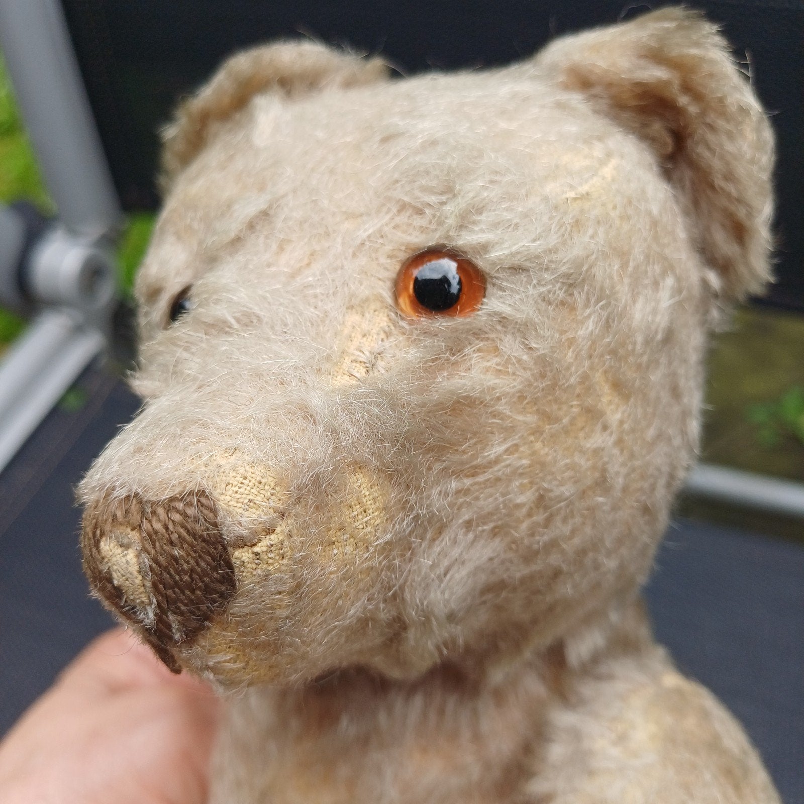 Antieke Steiff beer ca 33 cm, Ophalen of Verzenden, Gebruikt, Stoffen beer, Steiff