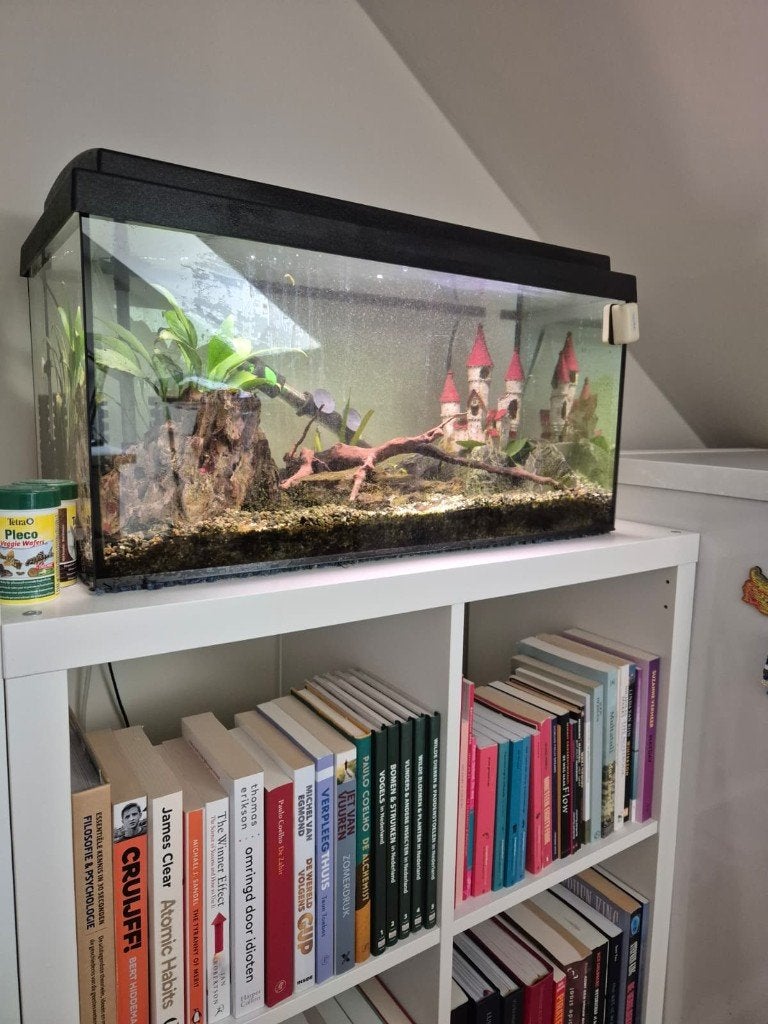 Aquarium 54L met toebehoren, Ophalen, Inclusief vissen, Gebruikt, Gevuld zoetwateraquarium