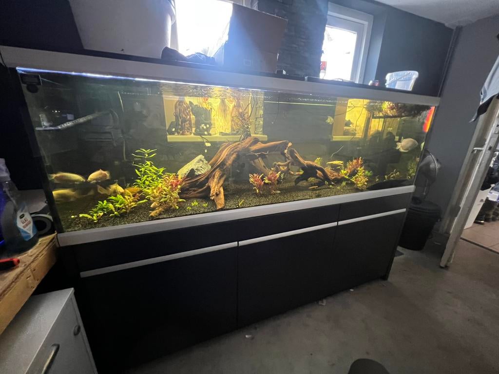 Aquarium, Dieren en Toebehoren, Ophalen, Zo goed als nieuw