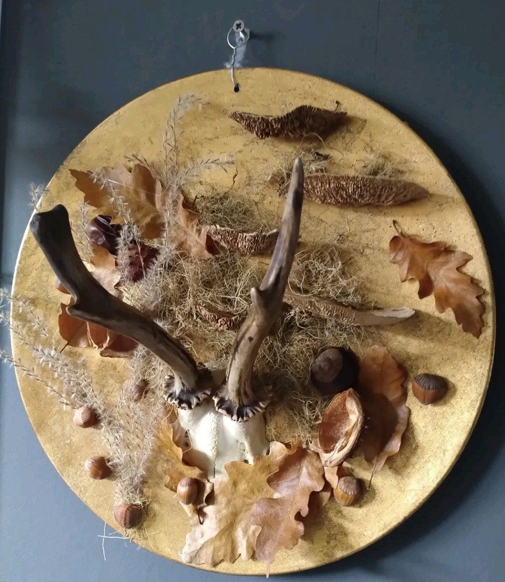 herfstdeco reebokgewei op gouden plaat, Verzamelen, Ophalen of Verzenden, Nieuw, Hert, Opgezet dier
