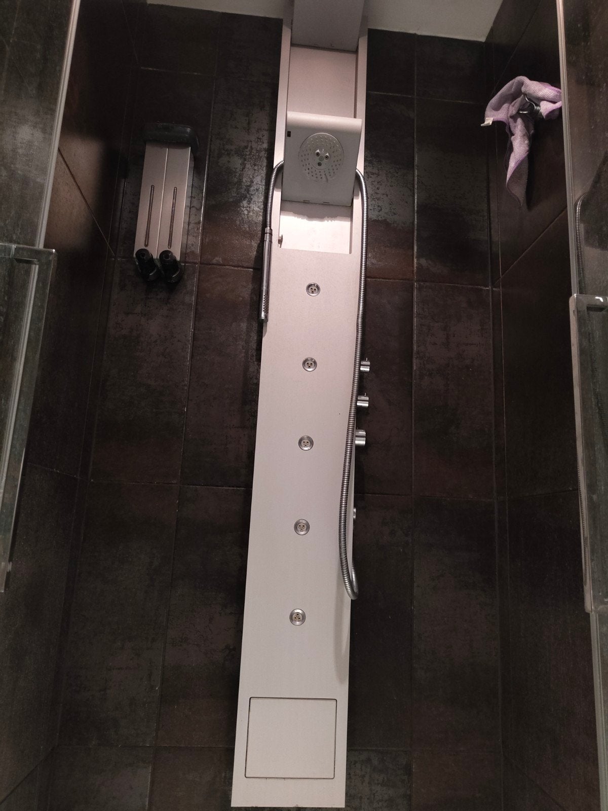 Douchepaneel met regendouche en massagejets, Ophalen, Gebruikt, Rvs, Douche