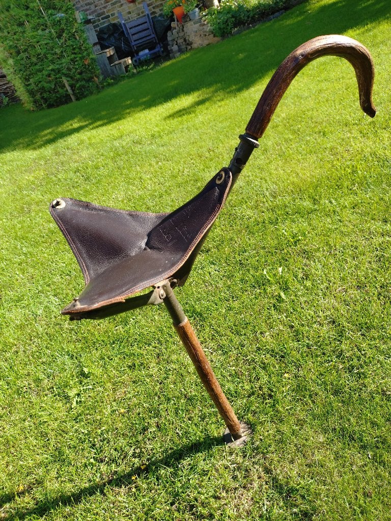 Wandelstok/stoel, Ophalen of Verzenden, Opvouwbaar, Gebruikt