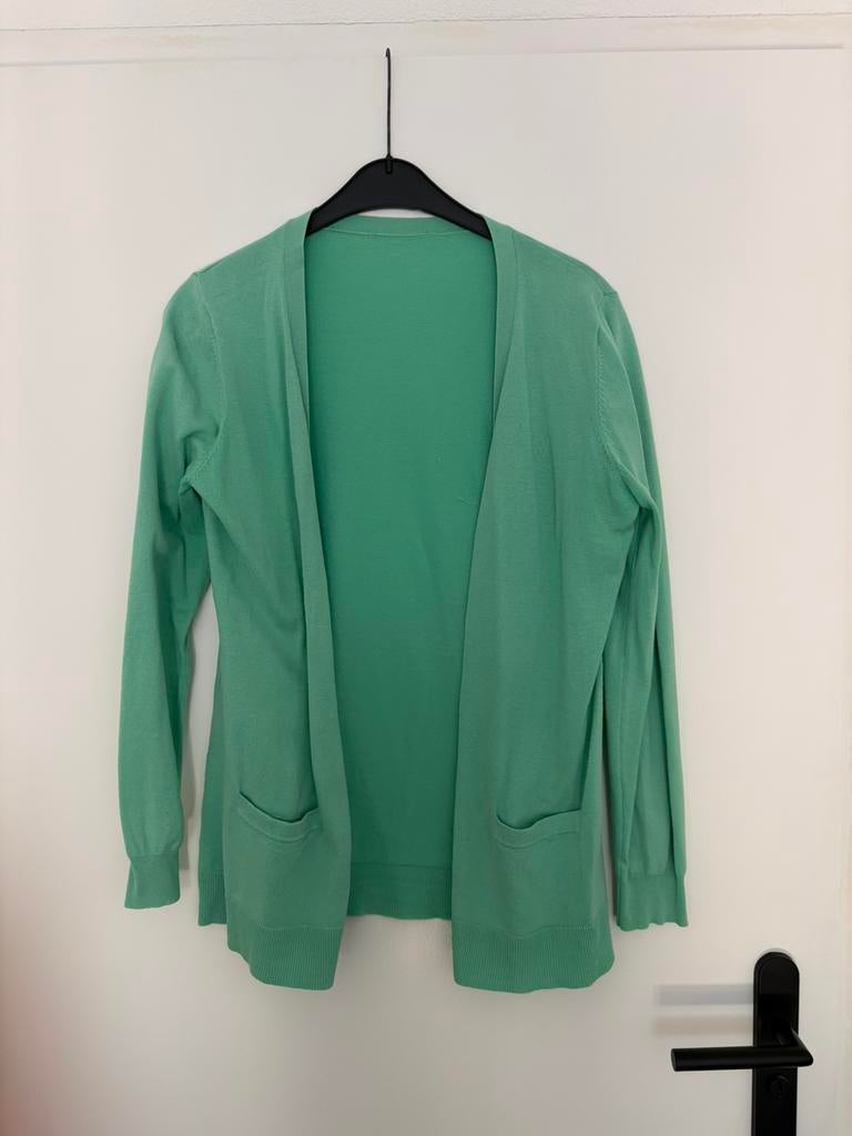 Riverwoods lichtgroen vest mt M, Kleding | Dames, Ophalen of Verzenden, Zo goed als nieuw, Groen