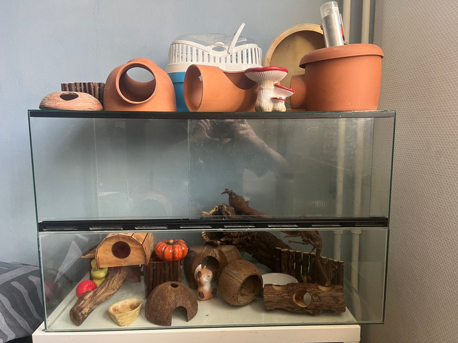 Hamsterverblijf 80x40x50 met toebehorenen (terrarium), Kooi, Minder dan 75 cm, Zo goed als nieuw, Ophalen
