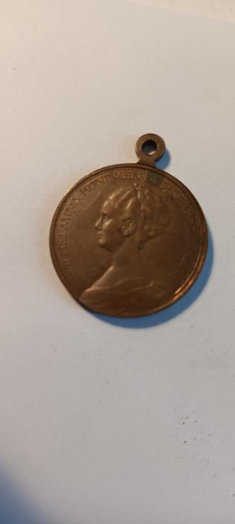 Historische Medaille Koningin Willemina (Brons), Postzegels en Munten, Ophalen of Verzenden, Brons, Nederland