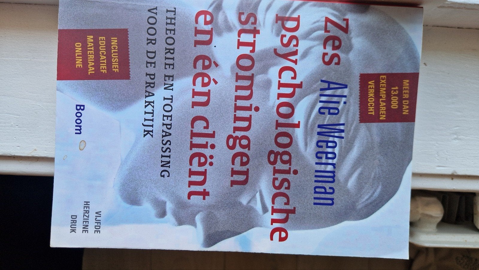 Zes psychologische stromingen en één cliënt - Alie Weerman, Boeken, Ophalen of Verzenden, Gelezen, Klinische psychologie, Alie Weerman