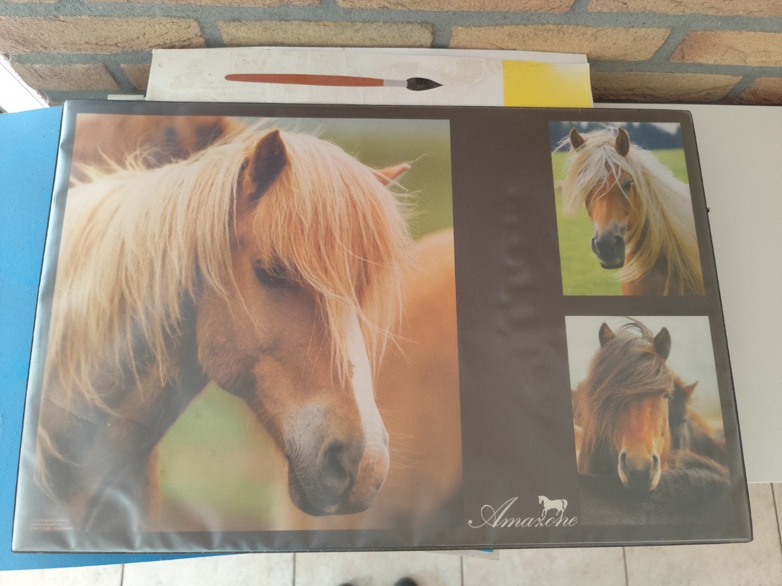 Paarden bureau onderlegger, Ophalen of Verzenden, Gebruikt